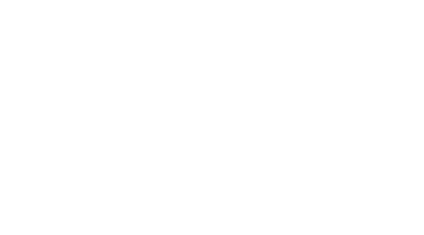 Culture & Experience Board